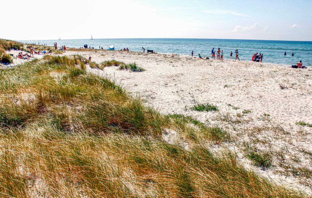 Ferienhaus - Øer Strand , Dänemark - D04390 33
