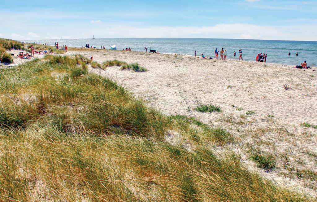 Feriehuse - Øer Strand , Danmark - D04196 25
