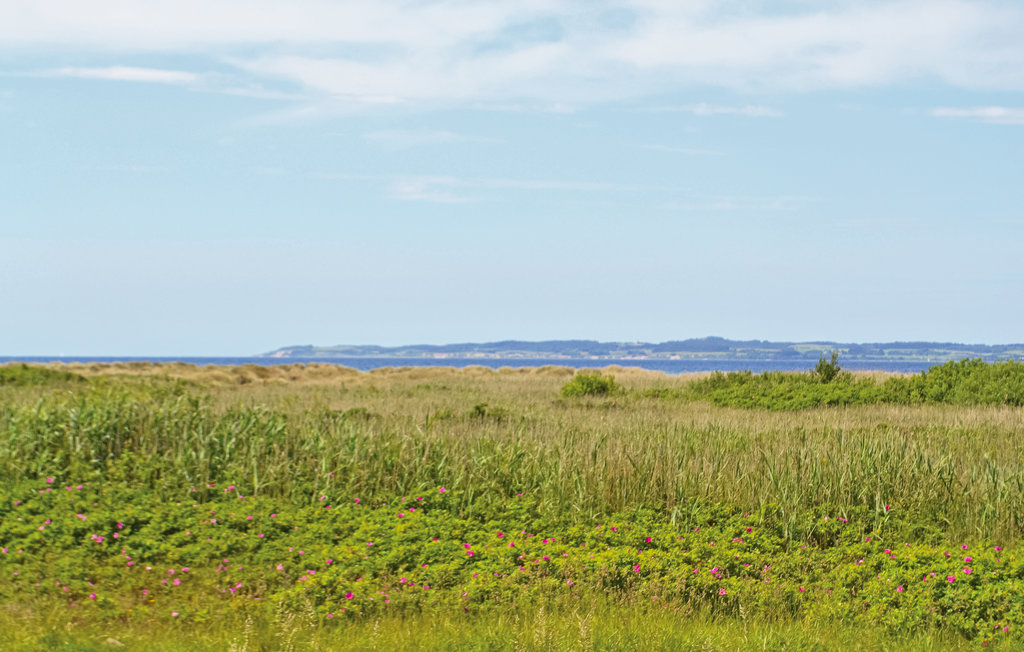 Feriehuse - Øer Strand , Danmark - D04620 11