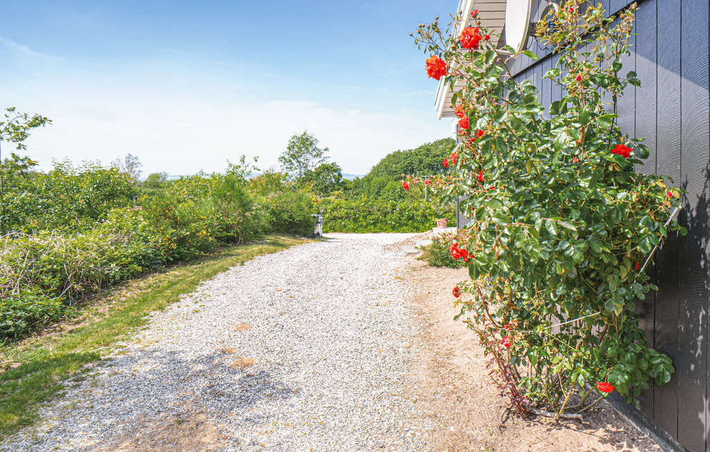 Ferienhaus - Øer Strand , Dänemark - D04704 17
