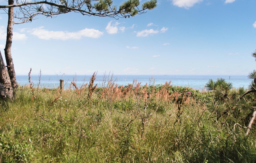 Feriehuse - Elsegårde Strand , Danmark - D05430 6