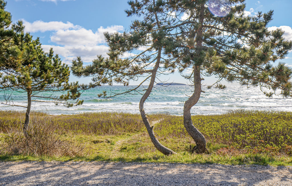 Ferienhaus - Elsegårde Strand , Dänemark - D05505 43