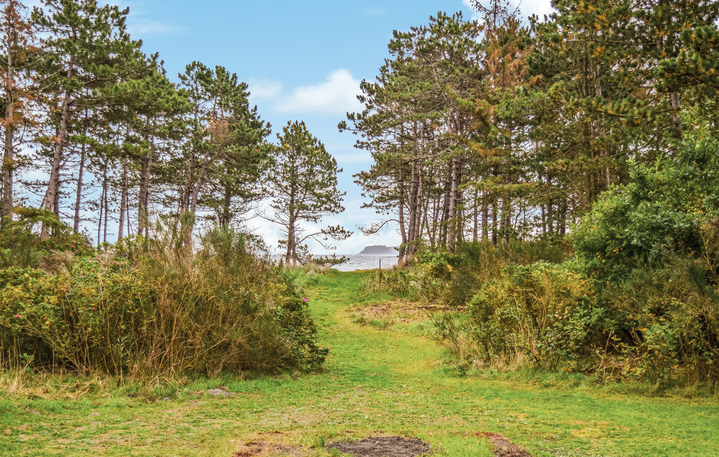 Feriehus - Elsegårde Strand , Danmark - D05104 9