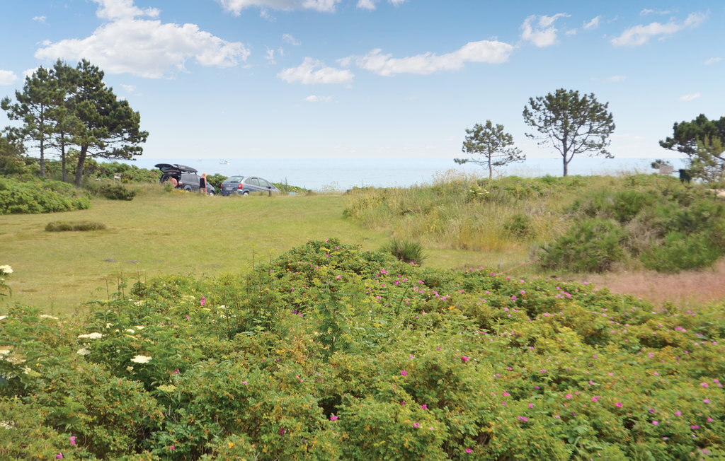 Ferienhaus - Elsegårde Strand , Dänemark - D05505 15
