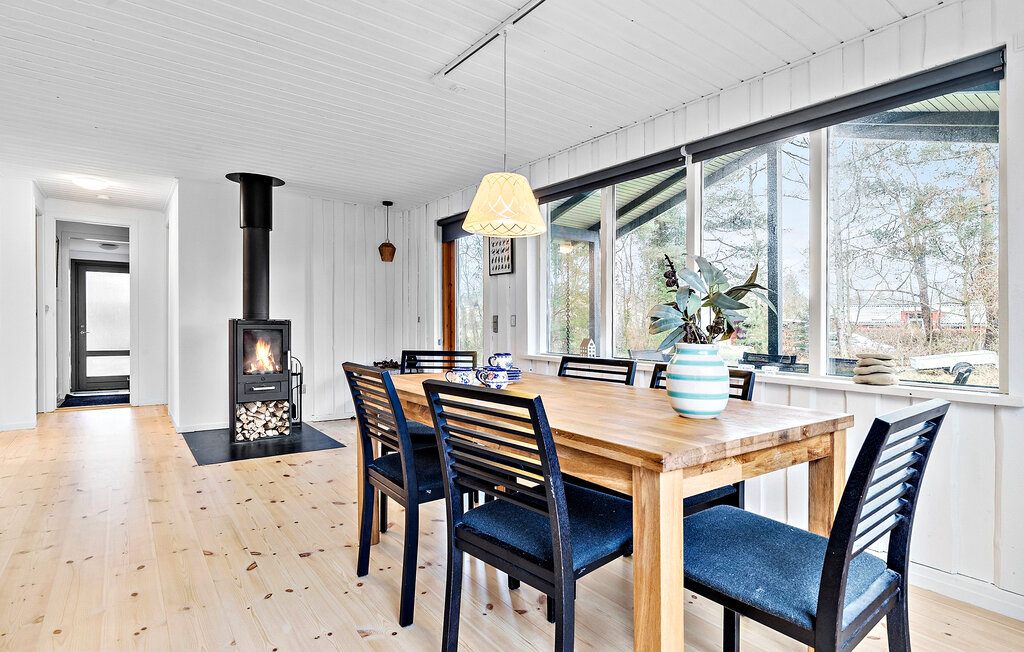 Ferienhaus - Elsegaarde Strand , Dänemark - D05010 4