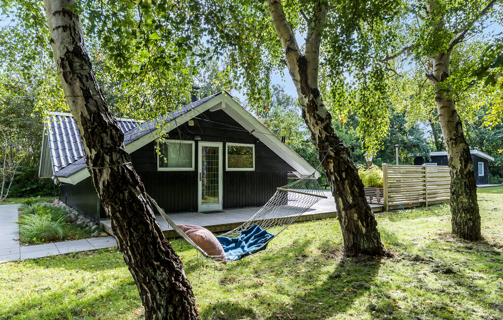 Ferienhaus - Elsegaarde Strand , Dänemark - D05005 11