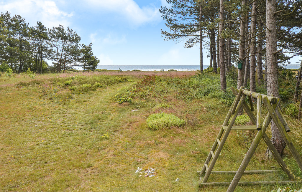 Feriehus - Dråby Strand , Danmark - D07928 5