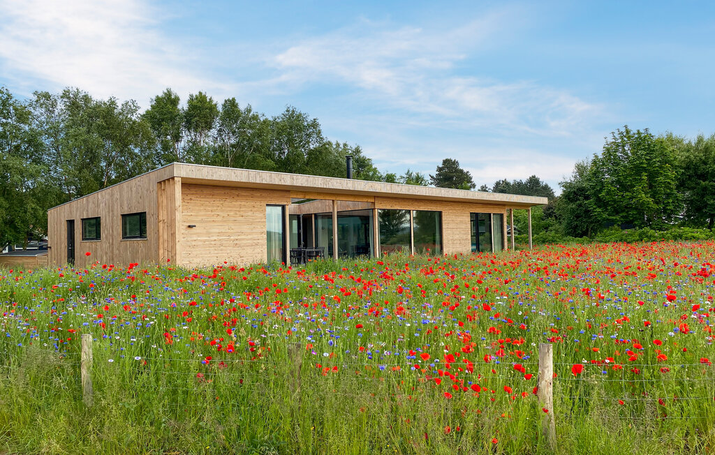 Feriehuse - Boeslum Strand , Danmark - D07001 13