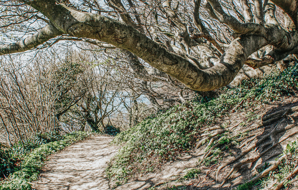 Ferienhaus - Holme Strand , Dänemark - D08108 32