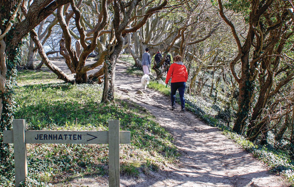 Ferienhaus - Holme Strand , Dänemark - D08003 32