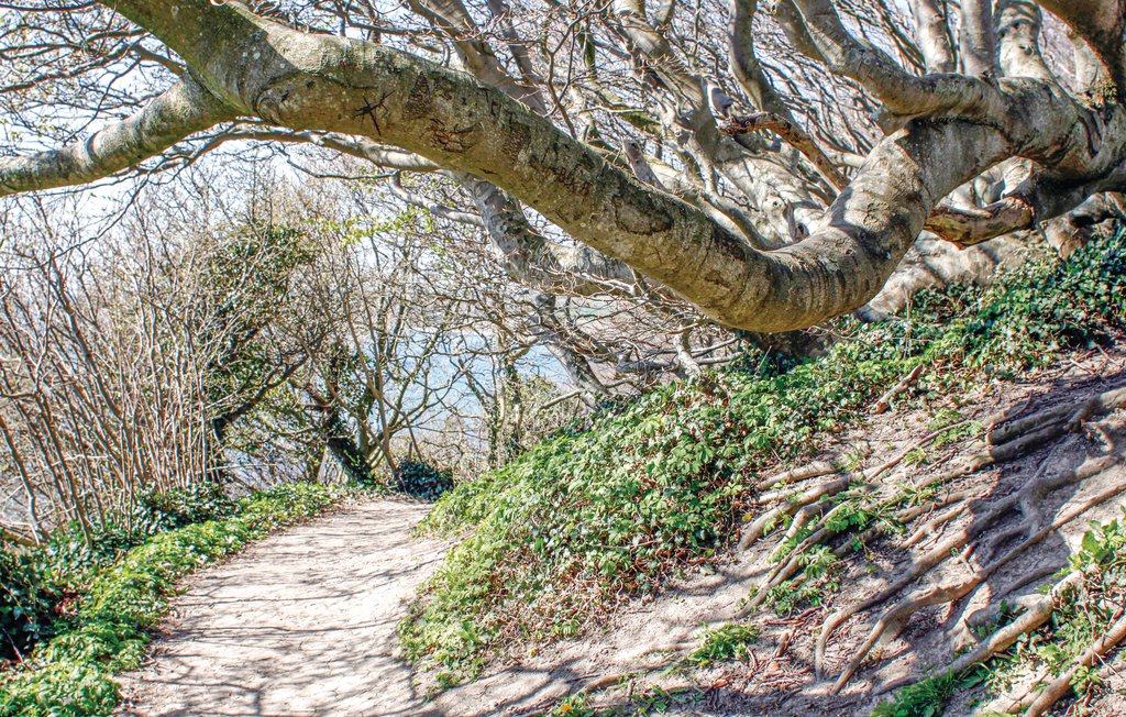 Ferienhaus - Holme Strand , Dänemark - D08003 33