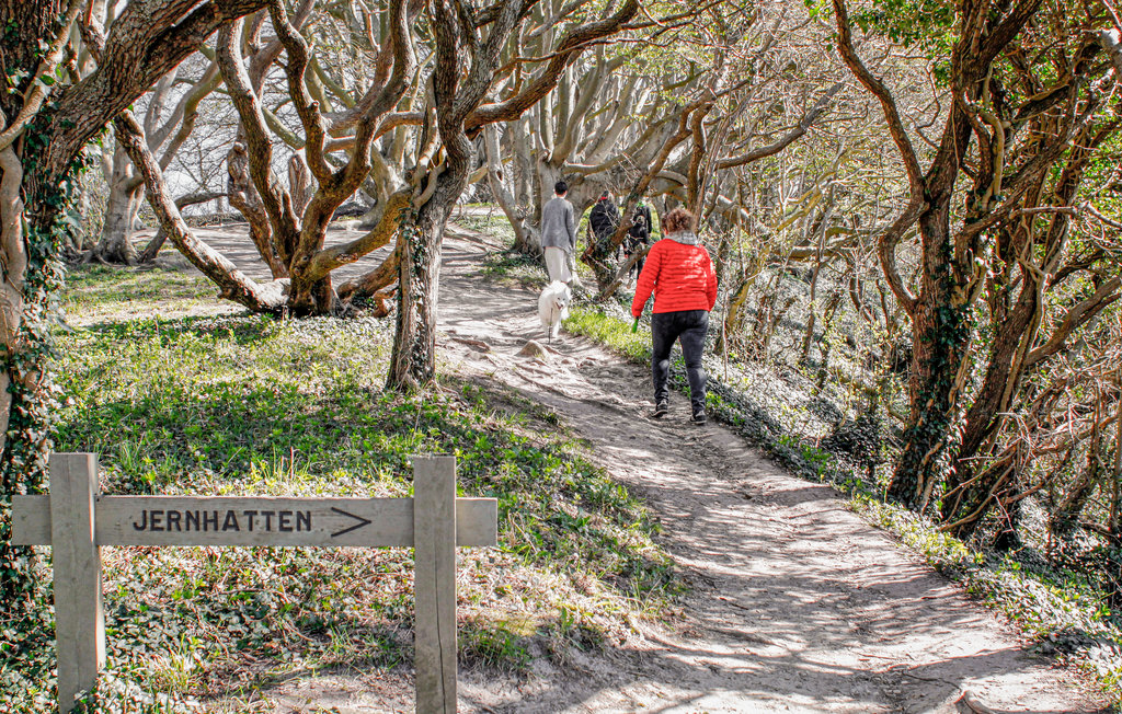 Ferienhaus - Holme Strand , Dänemark - D08108 31