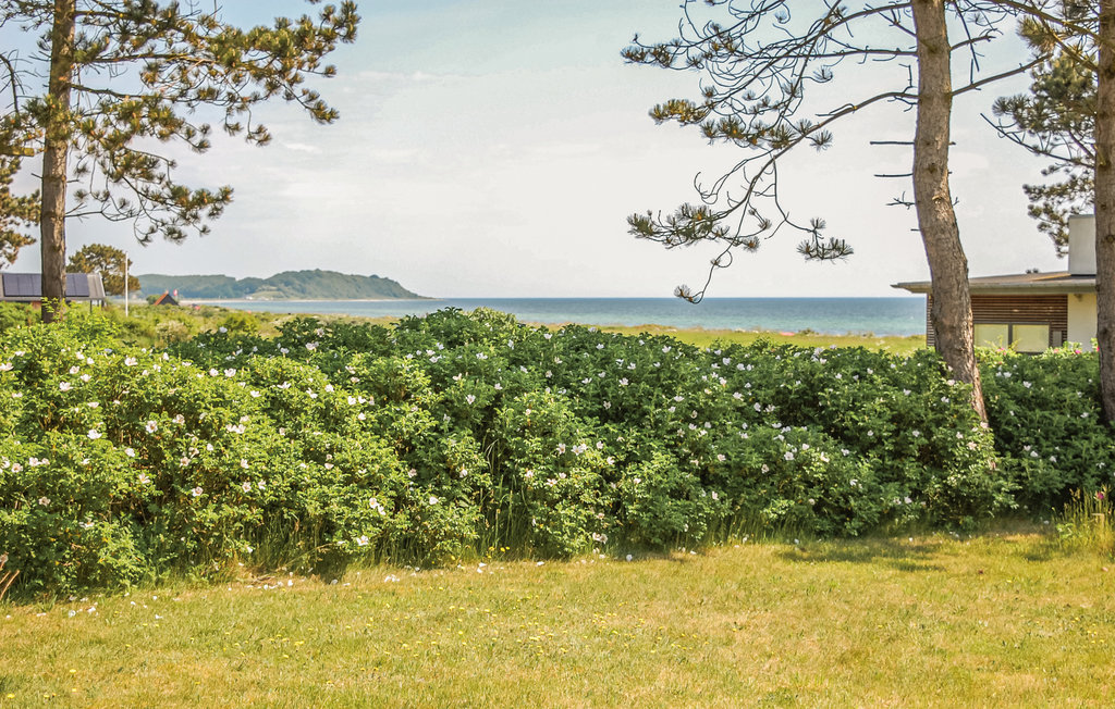 Ferienhaus - Holme Strand , Dänemark - D08880 2