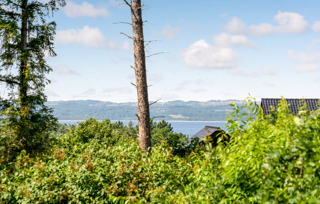 Ferienhaus - Boeslum Bakker , Dänemark - D09024 2