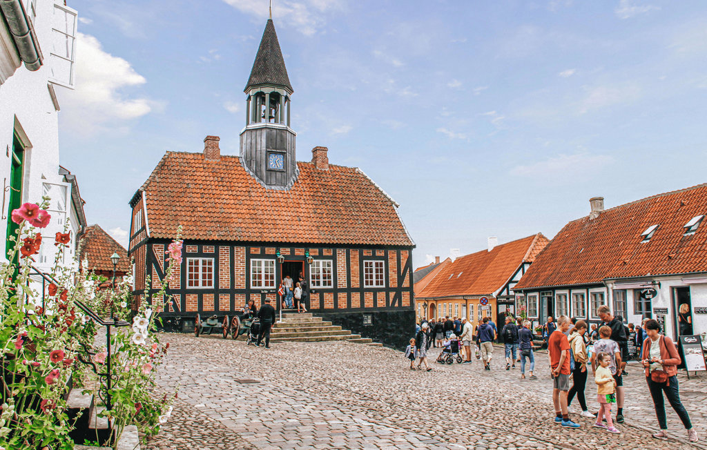 Ferienhaus - Boeslum Bakker , Dänemark - D09024 26