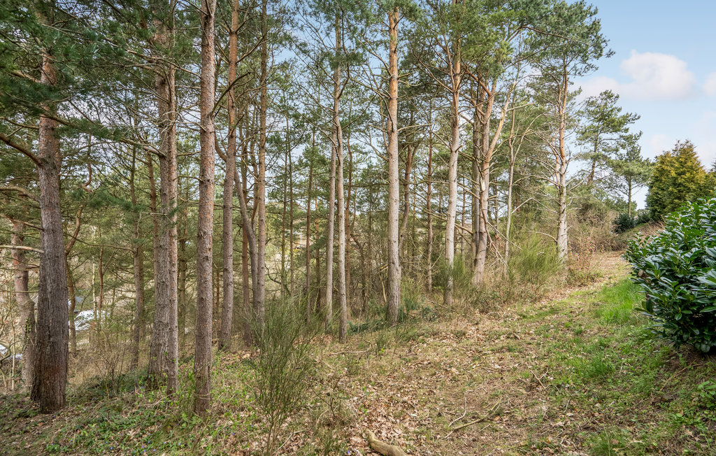 Feriehus - Ebeltoft , Danmark - D09012 31