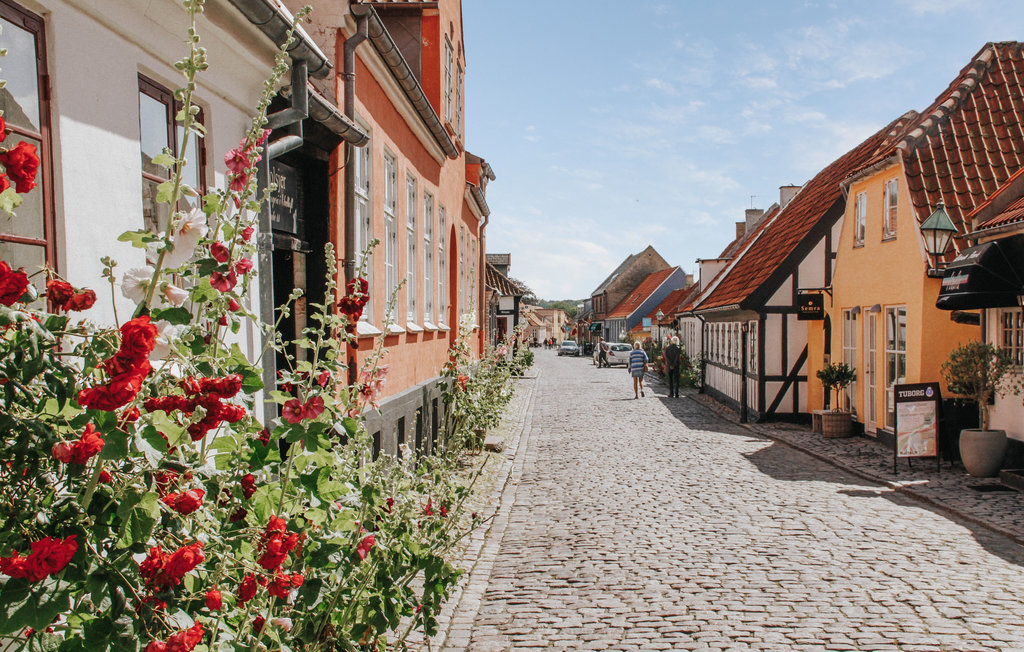 Feriehuse - Boeslum Bakker , Danmark - D09050 20