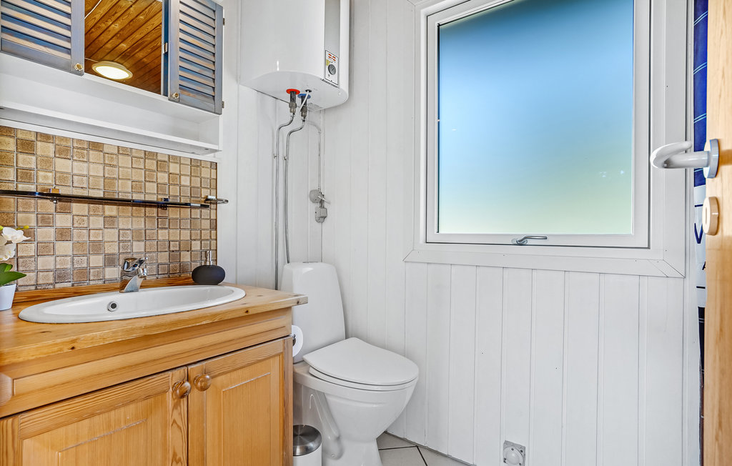 Ferienhaus - Boeslum Bakker , Dänemark - D09024 24