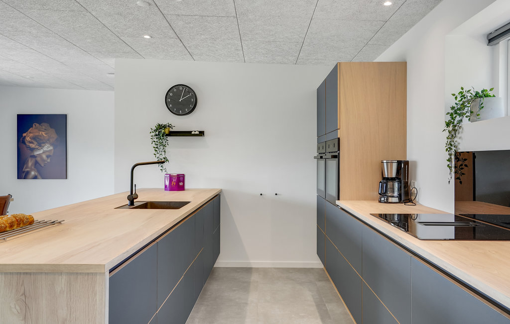 Ferienhaus - Boeslum Bakker , Dänemark - D09001 23