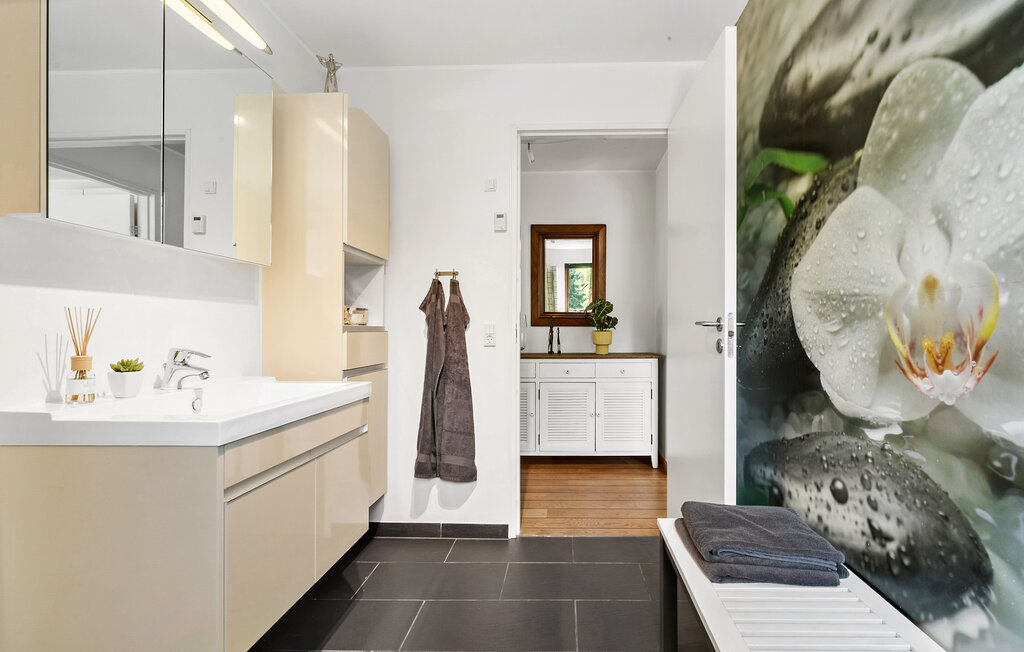 Feriehuse - Boeslum Bakker , Danmark - D09019 17