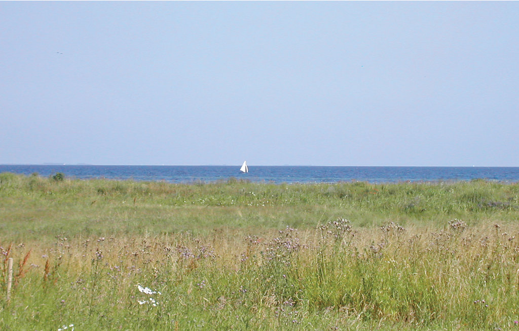 Semesterhus - Lavensby Strand , Danmark - D1067 33