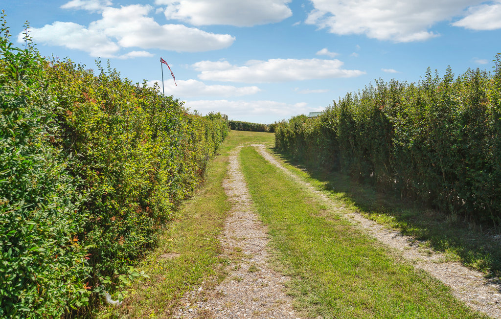 Ferienhaus - Dråby Strand , Dänemark - D10367 15