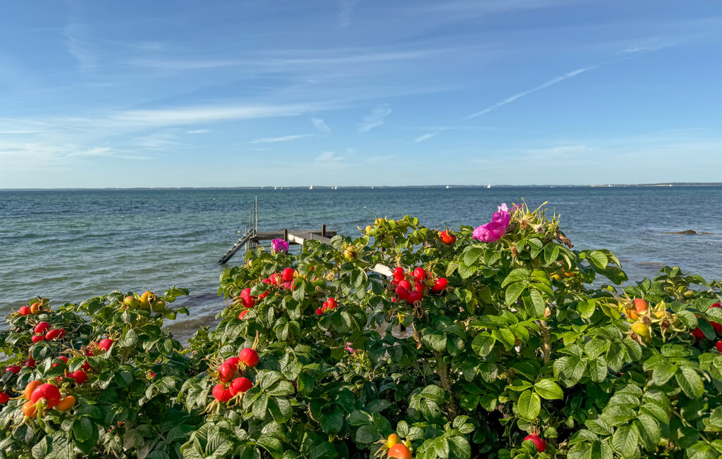 Feriehuse - Sønderby Kegnæs Strand , Danmark - D1041 17
