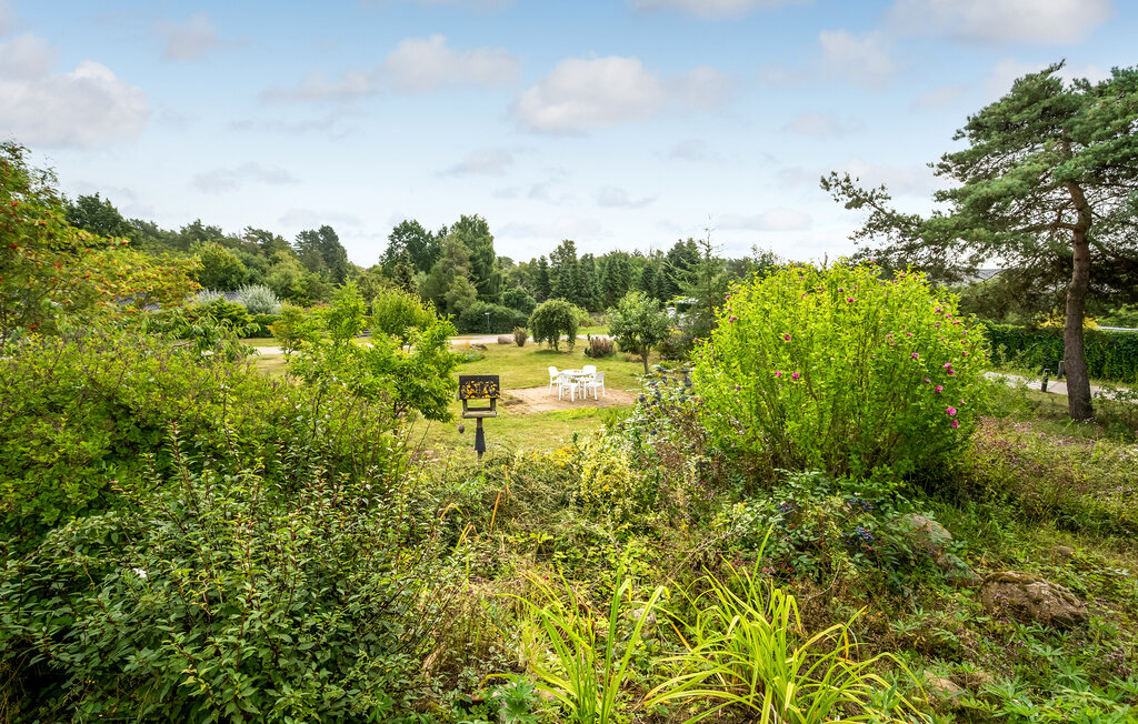 Ferienhaus - Vibæk Strand , Dänemark - D11027 19