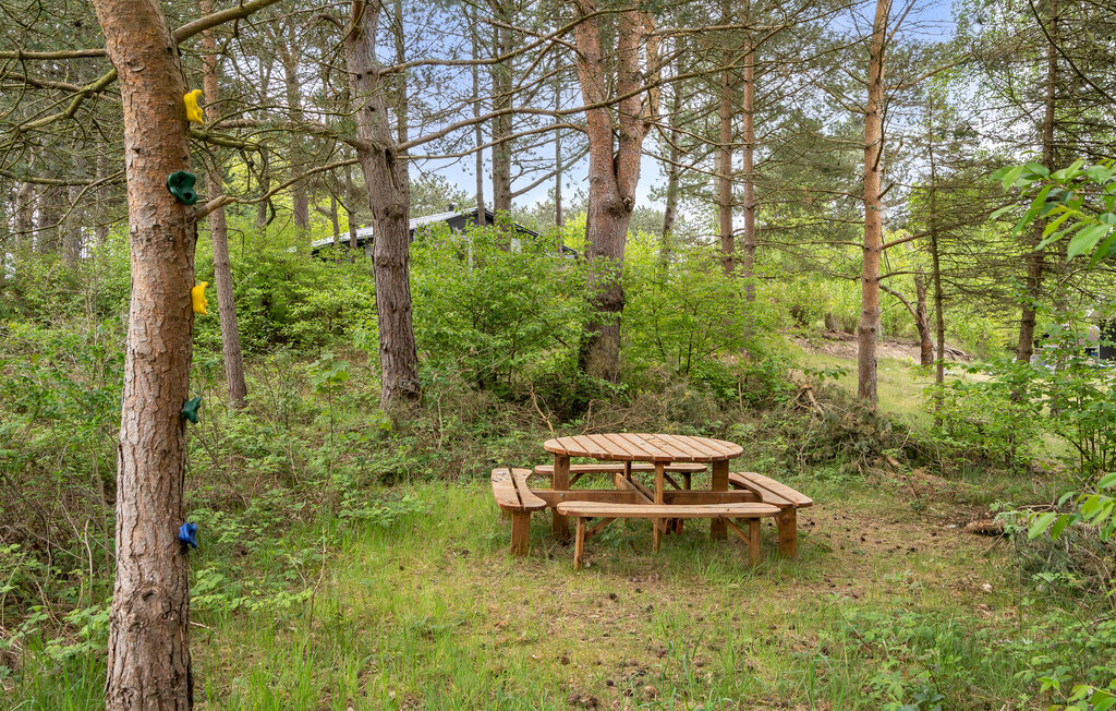 Ferienhaus - Vibæk Strand , Dänemark - D11110 21
