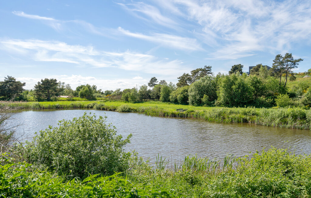 Ferienhaus - Vibæk Strand , Dänemark - D11015 14