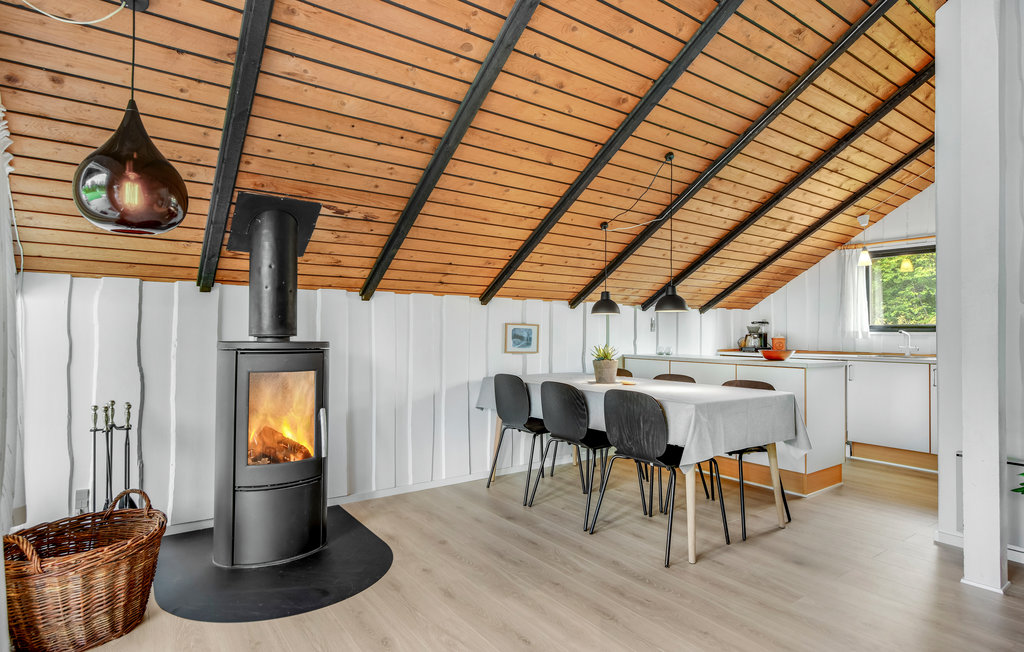 Ferienhaus - Skovmose Strand , Dänemark - D1135 6