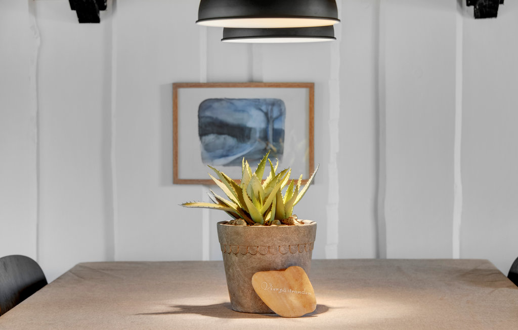 Ferienhaus - Skovmose Strand , Dänemark - D1135 19