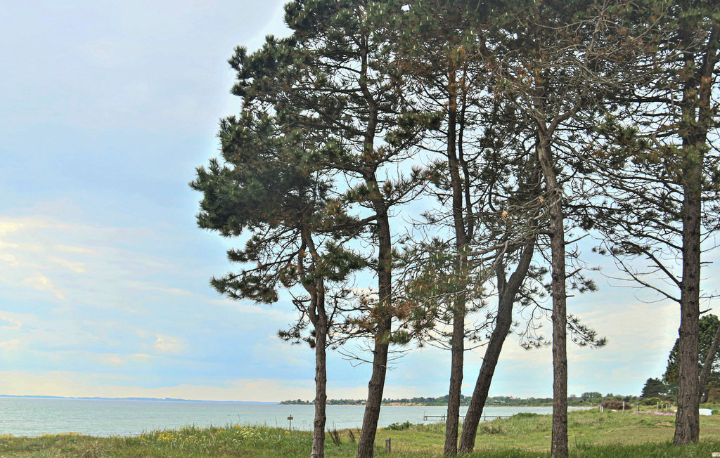 Ferienhaus - Kegnæs Strand , Dänemark - D1175 25