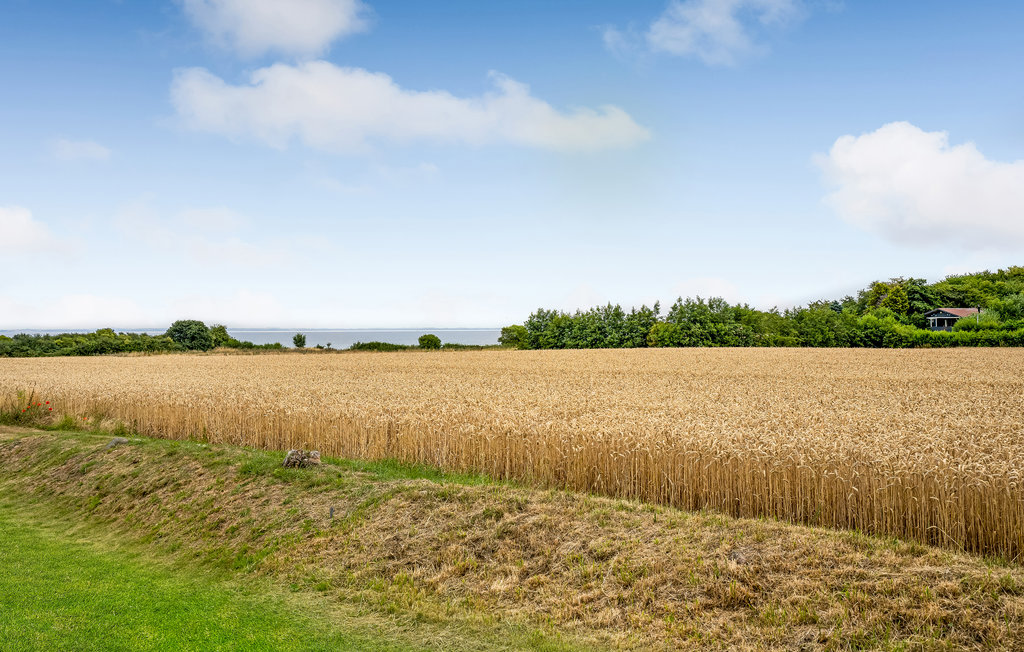 Feriehus - Lavensby Strand , Danmark - D1112 16