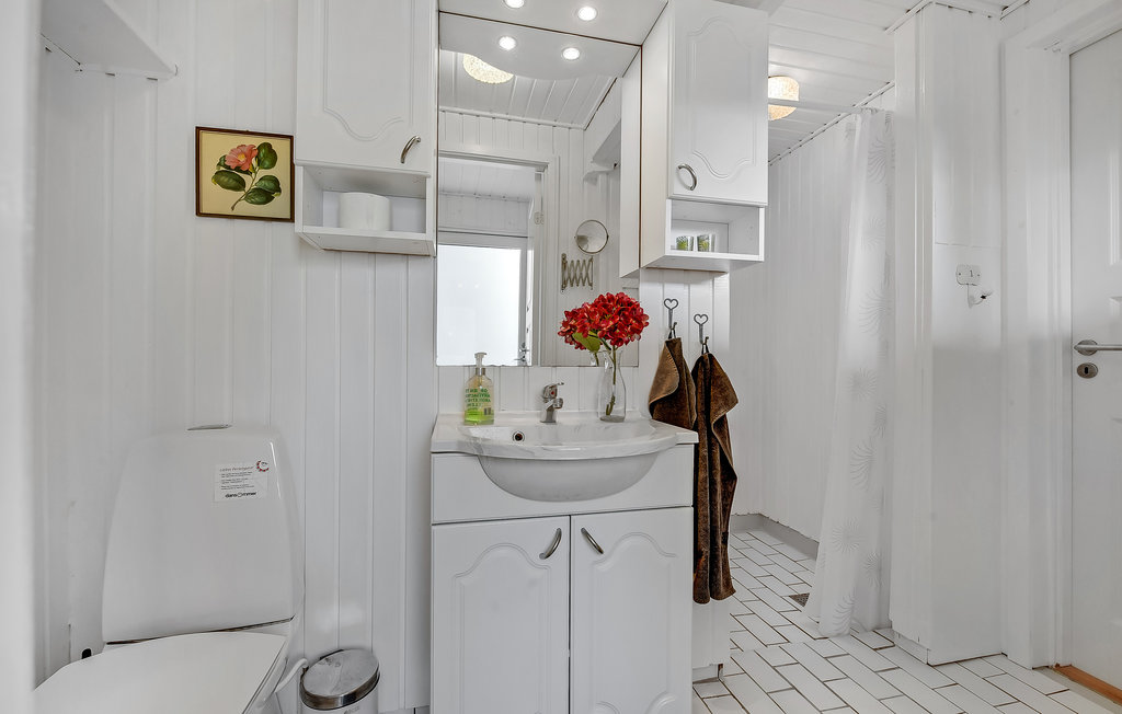 Feriehus - Skovmose Strand , Danmark - D1145 24