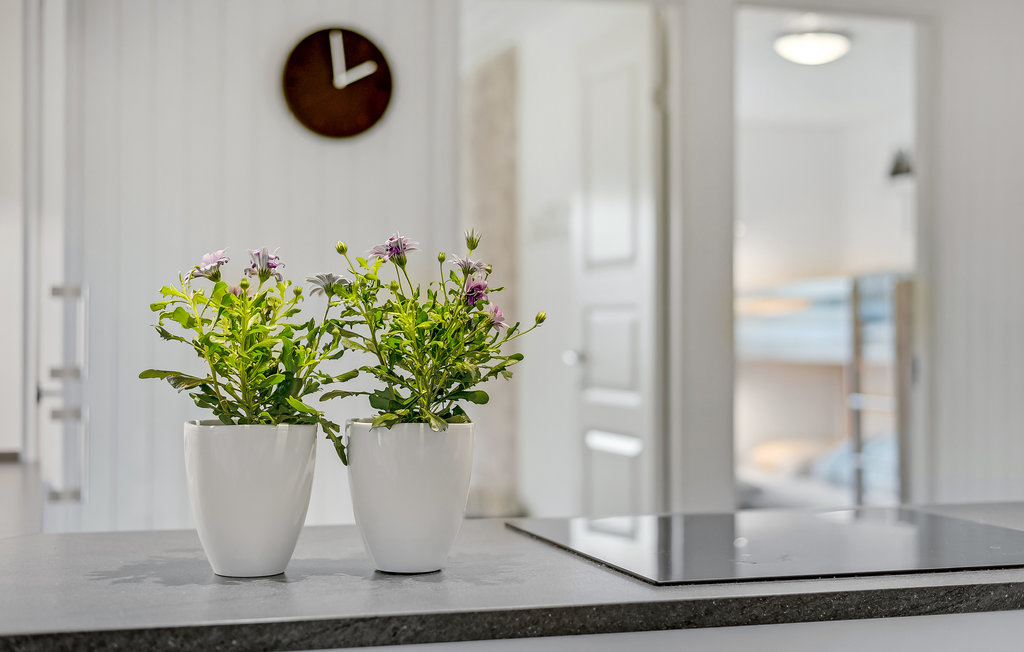 Feriehus - Skovmose Strand , Danmark - D1145 20