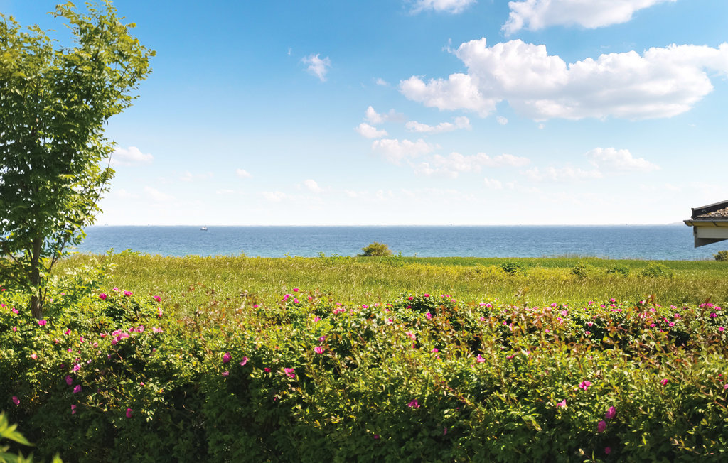 Ferienhaus - Kegnæs Strand , Dänemark - D1120 9