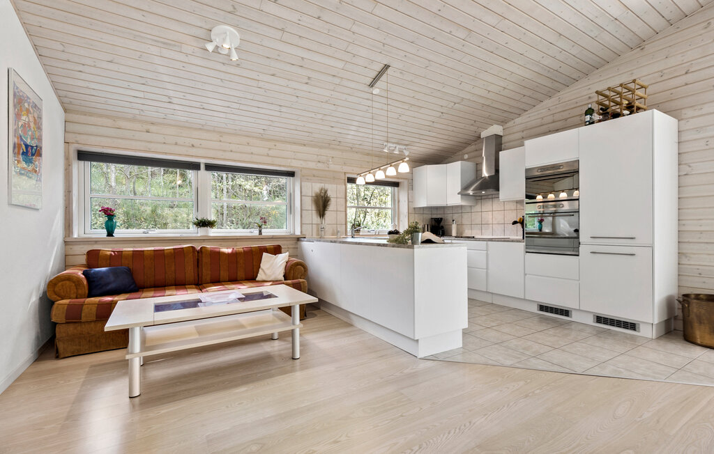 Feriehuse - Vibæk Strand , Danmark - D11102 4