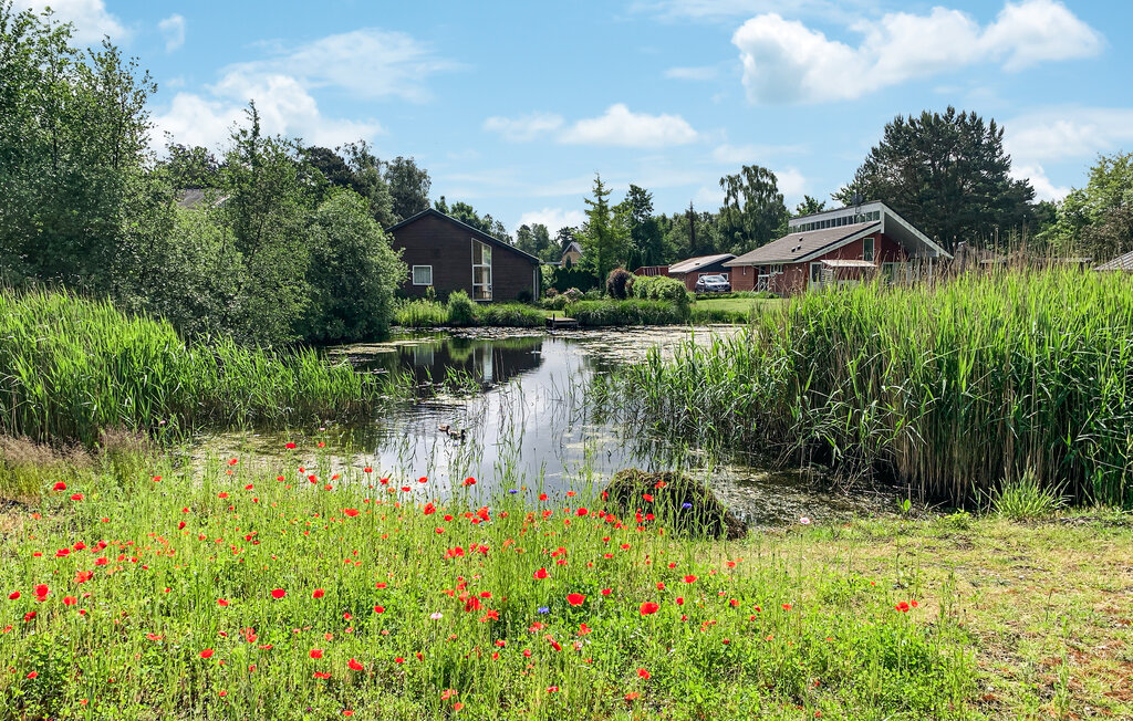 Feriehus - Ebeltoft , Danmark - D11115 14