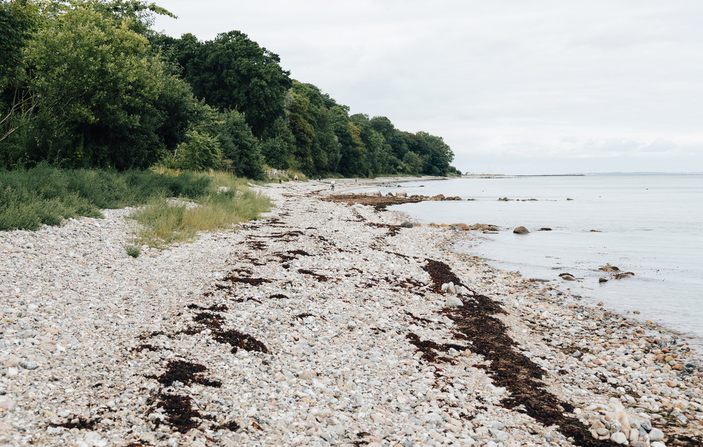 Feriehus - Mommark Strand , Danmark - D1234 29