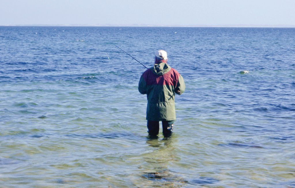 Semesterhus - Mommark Strand , Danmark - D1209 22