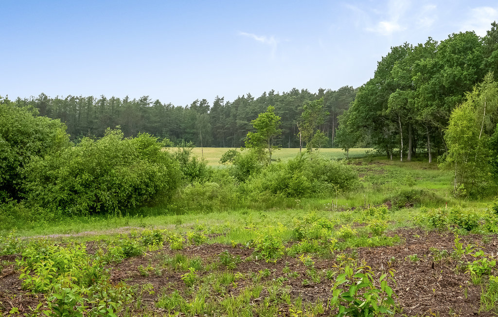 Feriehuse - Fuglslev , Danmark - D13022 15