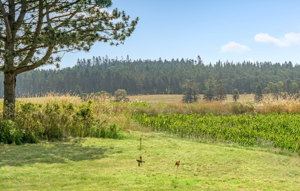 Ferienhaus - Fuglslev , Dänemark - D13043 17