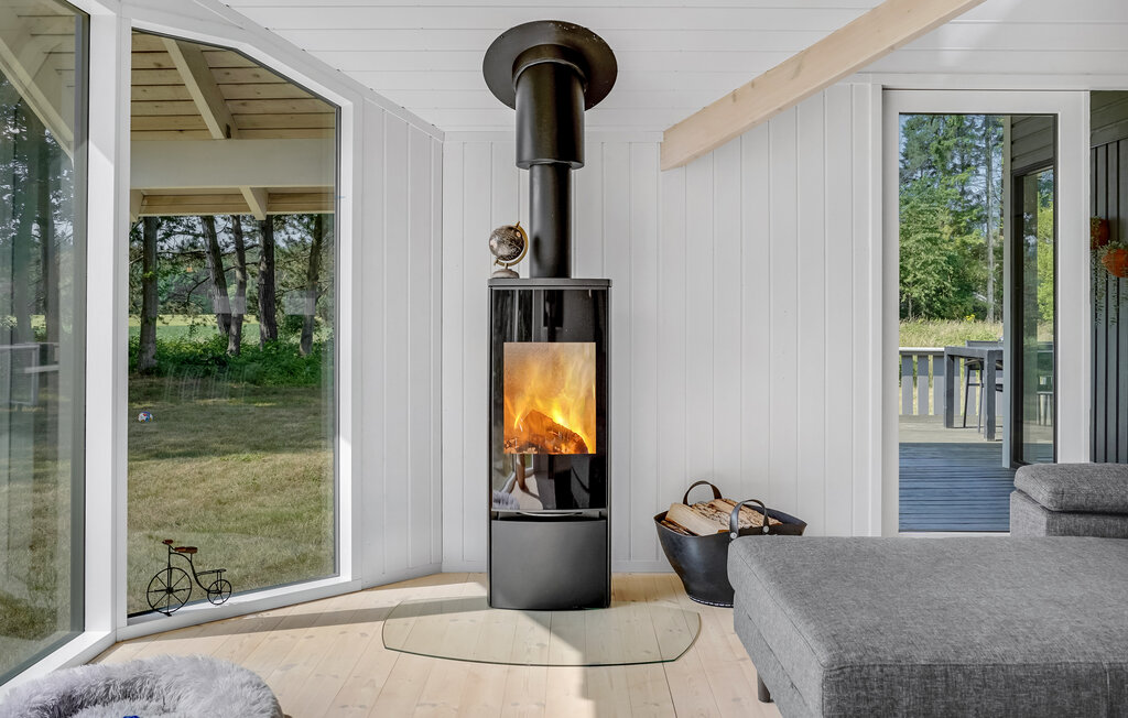 Ferienhaus - Fuglslev , Dänemark - D13043 5