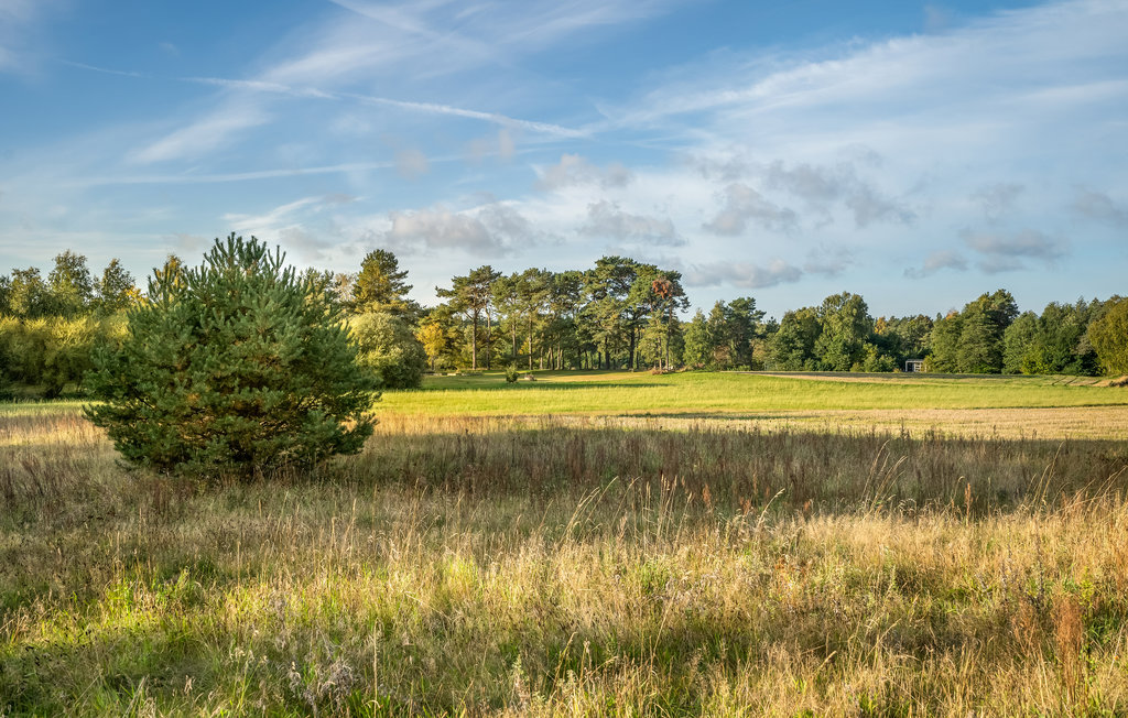 Feriehus - Fuglslev , Danmark - D13813 13