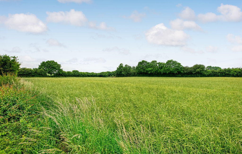 Ferienhaus - Lavensby Strand , Dänemark - D1312 21