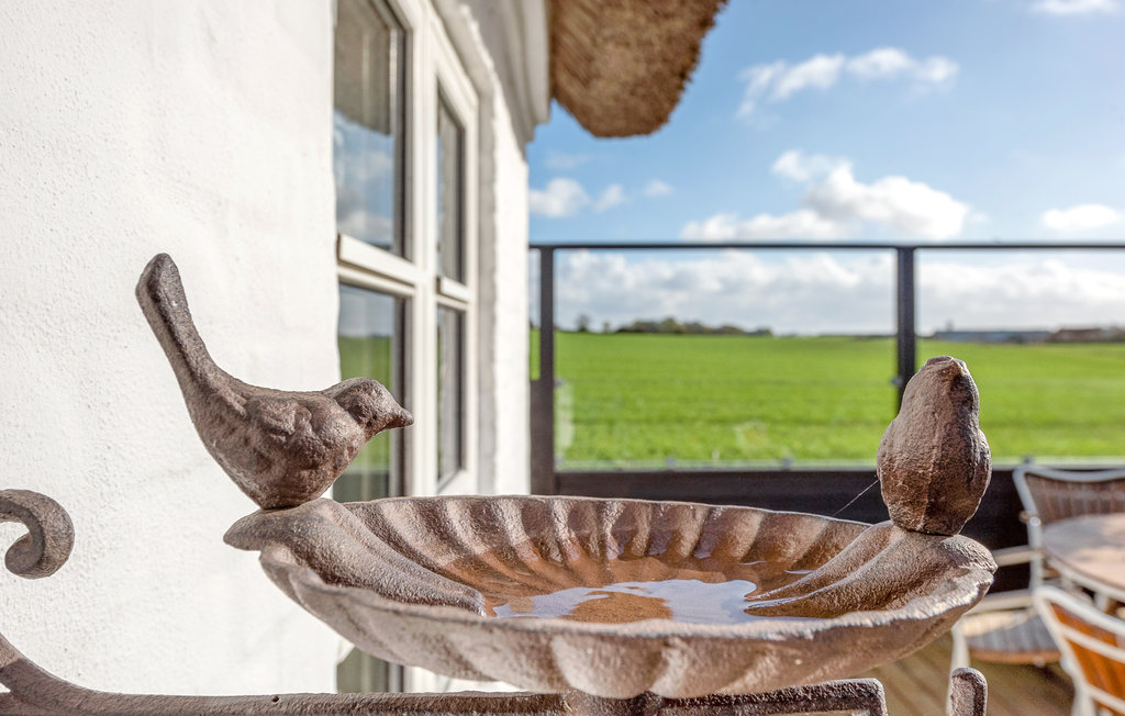 Ferienhaus - Mommark , Dänemark - D1309 17