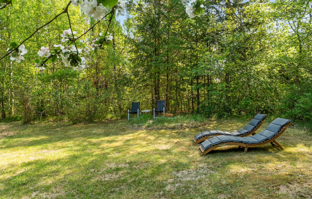 Feriehus - Fuglslev , Danmark - D13219 9