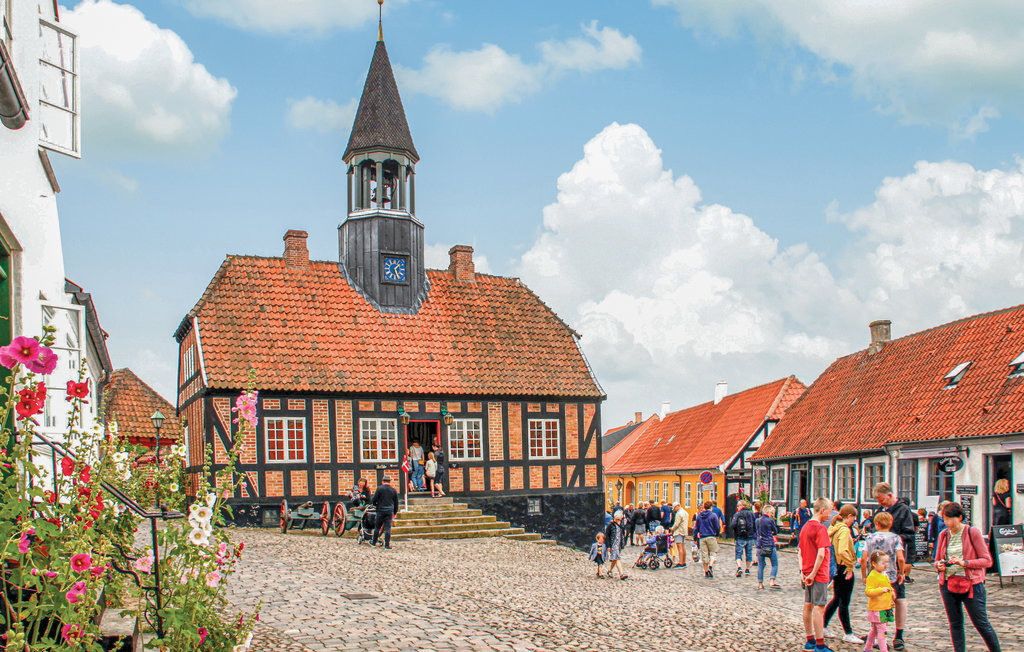 Feriehus - Fuglslev , Danmark - D13856 32