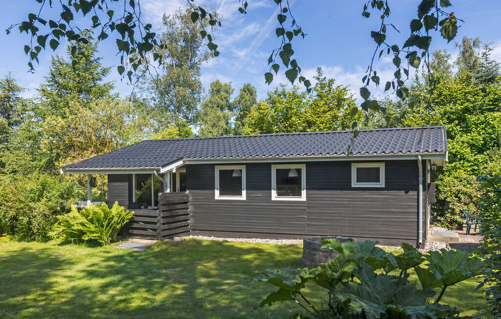 Ferienhaus - Fuglslev , Dänemark - D13029 12